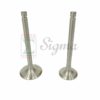 Intake & Exhaust Valve Set For 186FA 10HP Chinese  Yanmar Diesel Engine L100