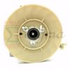 Miami pick up Tapered Cone Alternator Rated 5000 Watt Brush Design Generator Head With AVR - Image 4