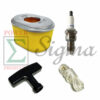 Air Filter Spark Plug Starter Handle Rope For Honda GX140 GX160 GX200 Engine