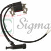 Ignition Coil and spark plug For Coleman Powermate Proforce Generator Pressure Washer 0063091 - Image 2