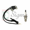 Ignition Coil & Spark Plug for Predator 5500W/6500W, 7000W/8750W, 7250W/9000W Non-Inverter Gas Generator and 420cc 13HP, 301cc 8HP Engine for Generac GP5000 GP5500 GP6500 GP7000E GP8000E Generator - Image 2