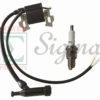 Ignition Coil and spark plug For Coleman Powermate Proforce Generator Pressure Washer 0063091