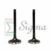 Inlet & Exhaust Valve for Predator Non-Hemi 6.5HP 212CC Gas Engine 60363 69730 69727
