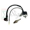 Ignition Coil and Spark Plug For Predator 79CC 99CC Gas Engine 1" Water Pump For WEN 1800W For Champion For UST 1200W 1350W Generator For Coleman Powersports CK100-S CT100U CC100X GoKart MiniBike