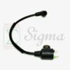 Ignition Coil Spark Plug for Harbor Freight Storm Cat 60338 69381 For Tail Gator 63CC 900W 63025 63024 For Pulsar PG1202S For ET950 ET650 For PowerPro Technology 1000 Watts Generator - Image 4