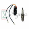 Ignition Control Module Ignitor & Spark Plug For Harbor Freight Predator 3500 Watt Super Quiet Inverter Generator 56720 63584 59137