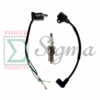 4-Wire Magneto W/ Built-in CDI Ignition Coil Spark Plug For Harbor Freight Storm Cat 60338 69381 For Tail Gator 800 900W 63025 63024 For Pulsar PG1202S For ETQ950 2HP 2-Cycle 63cc 64cc Gas Generator