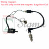 4-Wire Magneto W/ Built-in CDI Ignition Coil Spark Plug For Harbor Freight Storm Cat 60338 69381 For Tail Gator 800 900W 63025 63024 For Pulsar PG1202S For ETQ950 2HP 2-Cycle 63cc 64cc Gas Generator - Image 2
