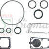10PCS Pump Gasket and O-Ring Repair Kit for PREDATOR 3 in. 301cc Gas Engine Full-Trash Water Pump 23,000 GPH Replaces 56718 For Honda 3" In. 270cc Construction Full Trash Pump WT30XK4A