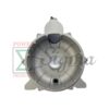 Completed Pump Body Replaces Predator 3”-inch 212cc 290GPM Semi-Trash Water Pump 63406 56162 for Champion 3-in. 196cc 66525 for Red Lion 3" IN. Trash Pump 6RLAG-3LTT with NPT Inlet and Outlet Threads - Image 5