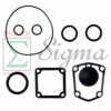 8PCS Gasket Seal Flapper Washer O-Ring Repair Kit For Predator 2" in. 212cc Semi-Trash Water Pump 63405 56160 For Pacific HydroStar 2" IN 212cc 61986 68375 69774 Water Pump