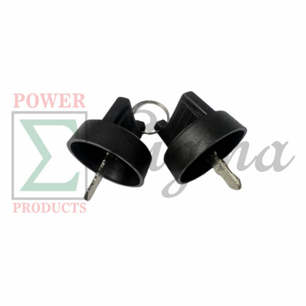 A Set of 2 Keys for Ignition Switch on Panel for Duromax XP15000EH 15000 Watt 713cc V-Twin Engine Dual Fuel Portable Generator