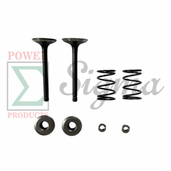 Intake Exhaust Valve and Spring and Retainer Kit for Predator 5000-Watt Dual-Fuel Inverter Generator (Compatible with SKU 71367, 70143)