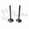 Inlet & Exhaust Valve with 5.5mm Diameter stem for Predator 212CC 6.5HP Gas Engine