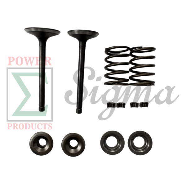 Intake Exhaust Valve and Spring and Retainer Kit for PREDATOR Inverter Generators 9500-Watt Surge / 7600-Watt Running (SKU# 71365, 59188) for DuroMax XP9000iH XP9500iH Inverter Generator