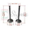 Inlet & Exhaust Valve with 5.5mm Diameter stem for Predator 212CC 6.5HP Gas Engine - Image 2